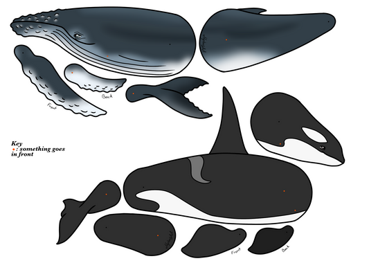 Humpback whale and Orca Template